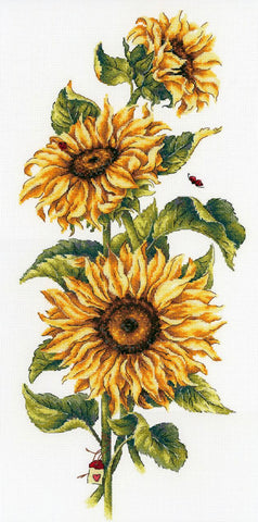 Sunflowers. Cross stitch kit. MP Studio HB-777