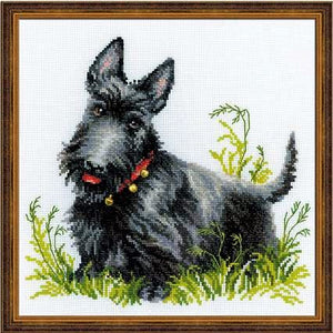 Chien Scottish Terrier. Cross stitch kit. Riolis 1281