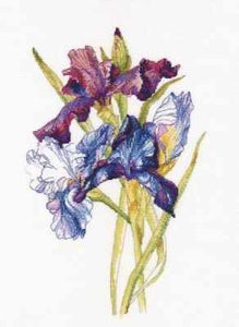 Rainbow of Irises. Cross stitch kit. RTO M580