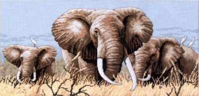 Elephants. Cross stitch kit. Classic Design 4365