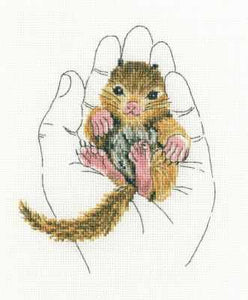 Warmth in the palm: Baby Squirrel. Cross Stitch Kit RTO M696