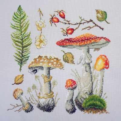 Mushroom: Amanita. Counted Cross stitch kit. Maria Iskusnica 04.012.05
