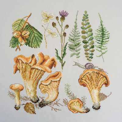 Mushroom: Chanterelles. Counted Cross stitch kit. Maria Iskusnica 04.012.07