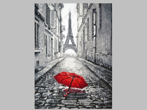 Rain in Paris  Counted Cross stitch kit. Oven 868