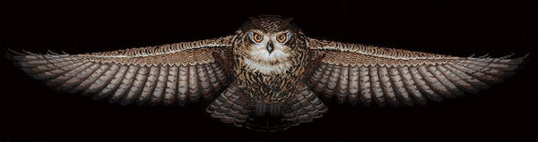 Owl on Black Fabric. Cross stitch kit. Adrianna C-44